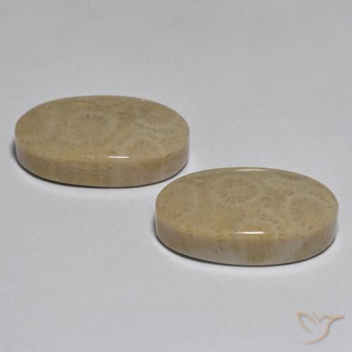 Gemme di Corallo Multicolore naturale da 26.78 ct, Ovale, Opaco