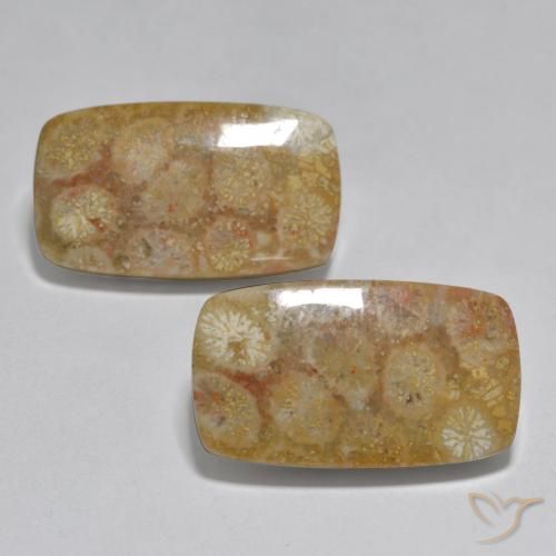 31.51ctw Naturale Multicolore Corallo, Cuscino, Opaco