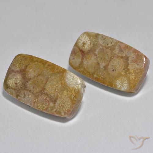 Gemme di Corallo Multicolore naturale da 31.51 ct, Cuscino, Opaco