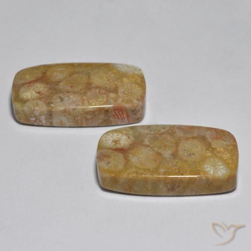 Gemme di Corallo Multicolore naturale da 31.51 ct, Cuscino, Opaco