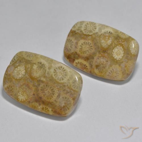 Gemme di Corallo Multicolore naturale da 24.97 ct, Cuscino, Opaco