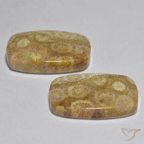 Gemme di Corallo Multicolore naturale da 24.97 ct, Cuscino, Opaco