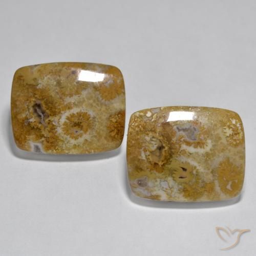 30.85ctw Naturale Multicolore Corallo, Cuscino, Opaco