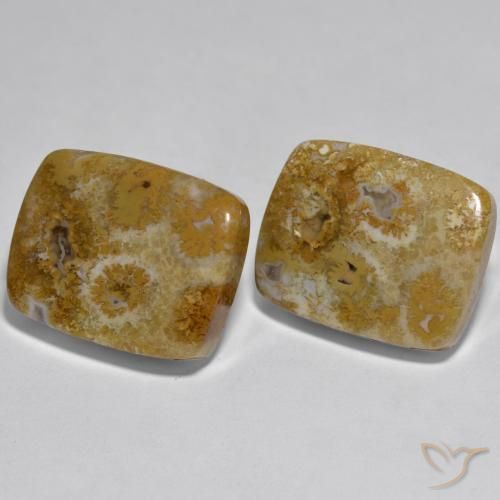 Gemme di Corallo Multicolore naturale da 30.85 ct, Cuscino, Opaco
