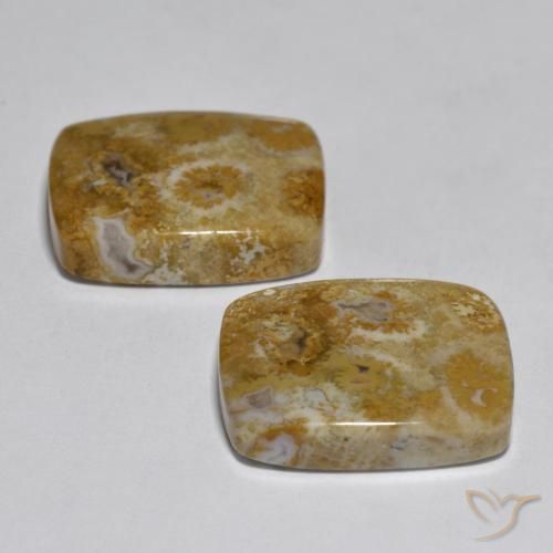 Gemme di Corallo Multicolore naturale da 30.85 ct, Cuscino, Opaco