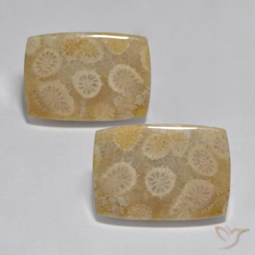32.71ctw Naturale Multicolore Corallo, Cuscino, Opaco