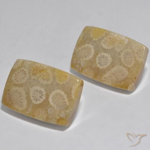 Gemme di Corallo Multicolore naturale da 32.71 ct, Cuscino, Opaco