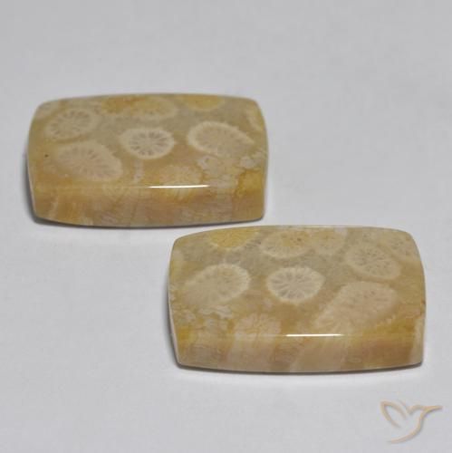 Gemme di Corallo Multicolore naturale da 32.71 ct, Cuscino, Opaco