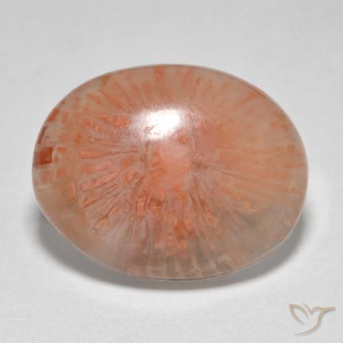 7.86ct Naturale Multicolore Corallo, Ovale, Traslucido