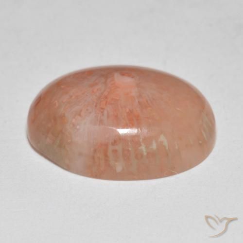 Corallo Multicolore naturale da 7.86 ct, Ovale, Traslucido