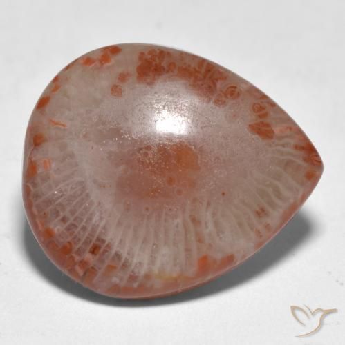 Corallo naturale multicolore da 11,24 ct, taglio a pera, traslucido