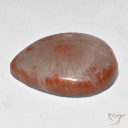 Corallo naturale multicolore da 11,24 ct, taglio a pera, traslucido