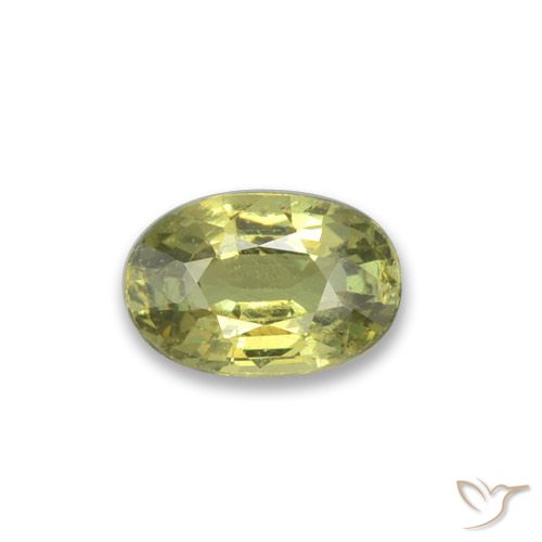0.47ct Naturale Caldo bosco verde Granato demantoide, Ovale, VVS-VS