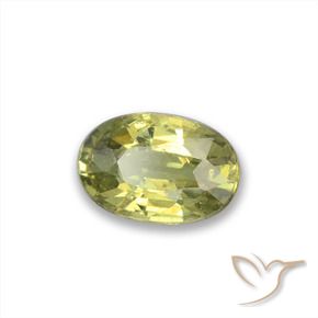 Granato demantoide Caldo bosco verde naturale da 0.47 ct, Ovale, VVS-VS