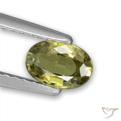 0.57ct Naturale Caldo bosco verde Granato demantoide, Ovale, VVS-VS