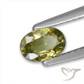 Granato demantoide Caldo bosco verde naturale da 0.57 ct, Ovale, VVS-VS