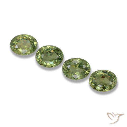 1.23ctw Naturale Verde foresta Granato demantoide, Ovale, VS