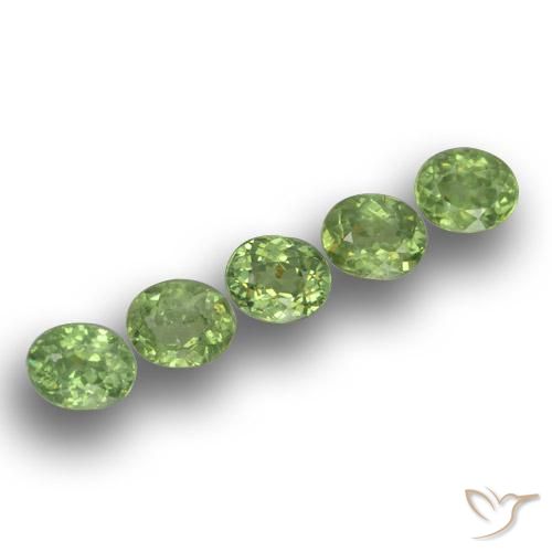 Gemme di Granato demantoide Verde foresta naturale da 1.73 ct, Ovale, VS
