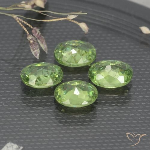 Gemme di Granato demantoide Verde medio naturale da 1.67 ct, Ovale, VS