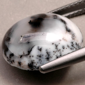 Agata dendritica Multicolore naturale da 6.92 ct, Taglio ovale, Opaco