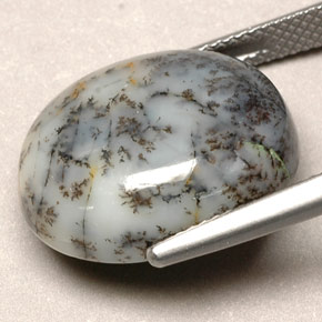 Agata dendritica naturale multicolore da 12,90 ct, taglio ovale, opaco