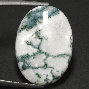 Agata dendritica naturale multicolore da 17,64 ct, taglio ovale, opaco