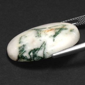 Agata dendritica Multicolore naturale da 17.43 ct, Taglio ovale, Opaco