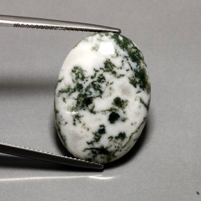 Agata dendritica naturale multicolore da 16,20 ct, taglio ovale, opaco