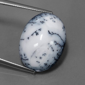 Agata dendritica naturale multicolore da 15,11 ct, taglio ovale, opaco
