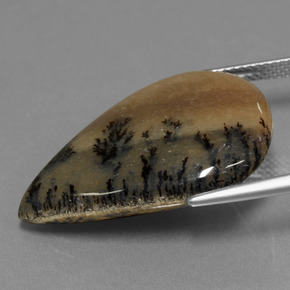 Agata dendritica Multicolore naturale da 19.92 ct, Forma a pera, Opaco