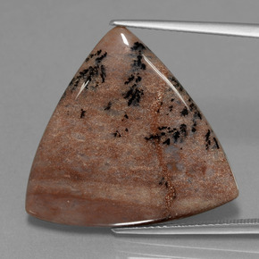 Agata dendritica naturale multicolore da 19,37 ct, trillion, opaco