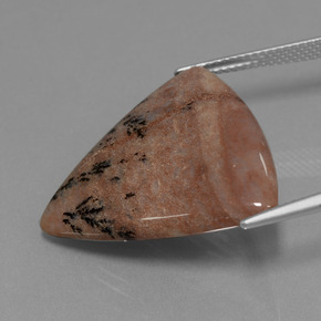 Agata dendritica naturale multicolore da 19,37 ct, trillion, opaco