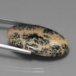 Agata dendritica Multicolore naturale da 25.50 ct, Taglio ovale, Opaco