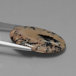 Agata dendritica Multicolore naturale da 21.34 ct, Taglio ovale, Opaco