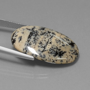 Agata dendritica Multicolore naturale da 28.19 ct, Taglio ovale, Opaco