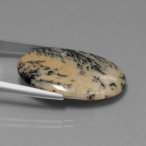 Agata dendritica naturale multicolore da 23,90 ct, taglio ovale, opaco