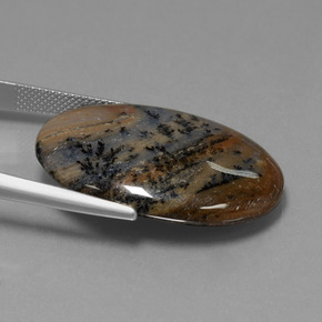 Agata dendritica Multicolore naturale da 31.59 ct, Taglio ovale, Opaco