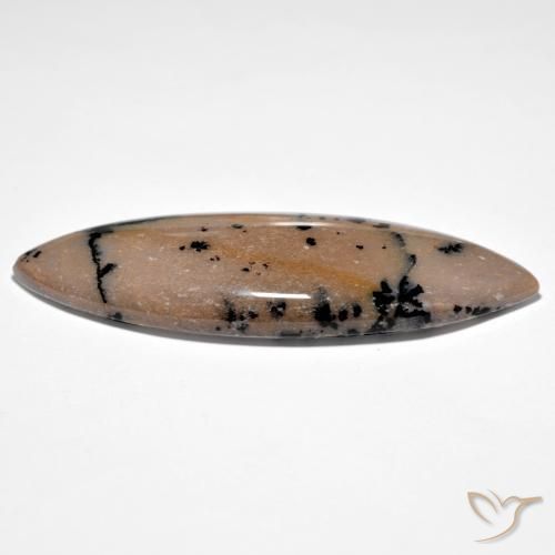 Agata dendritica Brown-Black naturale da 37.71 ct, Taglio marquise, Opaco