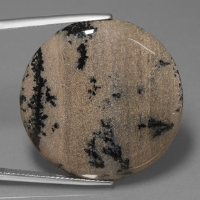 Agata dendritica Multicolore naturale da 36.61 ct, Taglio rotondo, Opaco