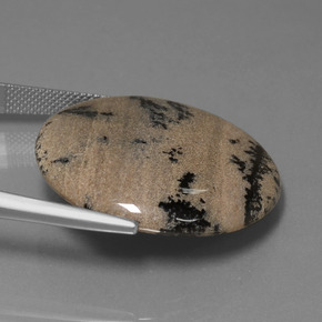 Agata dendritica Multicolore naturale da 36.61 ct, Taglio rotondo, Opaco