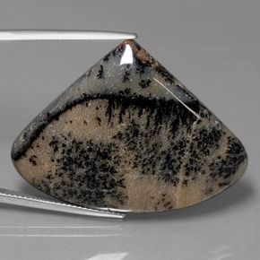 Agata dendritica naturale multicolore da 44,44 ct, forma fantasia, opaco