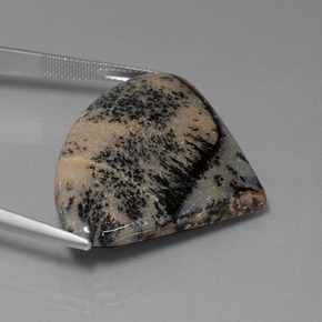 Agata dendritica naturale multicolore da 44,44 ct, forma fantasia, opaco