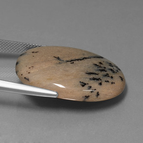 Agata dendritica Multicolore naturale da 35.89 ct, Taglio ovale, Opaco