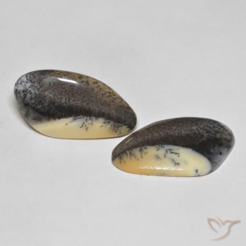 Gemme di Agata dendritica Brown-Black naturale da 38.04 ct, Taglio a fantasia, Opaco