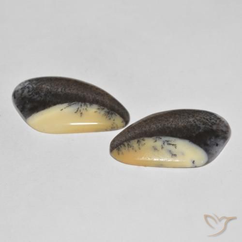 Gemme di Agata dendritica Brown-Black naturale da 38.04 ct, Taglio a fantasia, Opaco