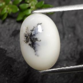 Agata dendritica Nero bianco naturale da 2.70 ct, Taglio ovale, Opaco