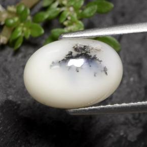 Agata dendritica Nero bianco naturale da 2.70 ct, Taglio ovale, Opaco