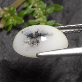 Agata dendritica Nero bianco naturale da 2.70 ct, Taglio ovale, Opaco