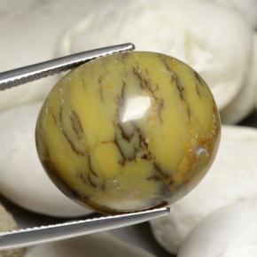 Agata dendritica naturale multicolore da 30,23 ct, taglio ovale, opaco