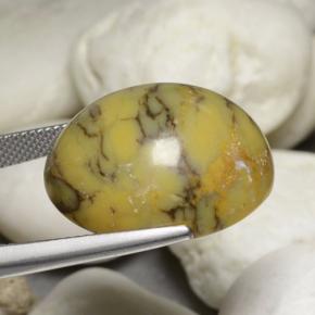 Agata dendritica naturale multicolore da 30,23 ct, taglio ovale, opaco